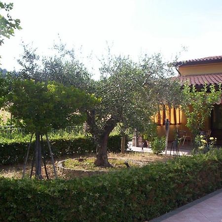 Вилла Agriturismo 7 Colonne Бертиноро Экстерьер фото